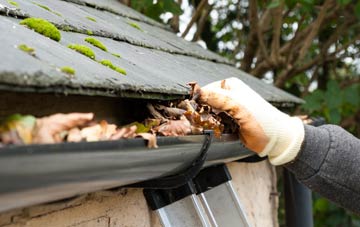 gutter cleaning Stockwood