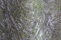 Stockwood fibreglass roof work